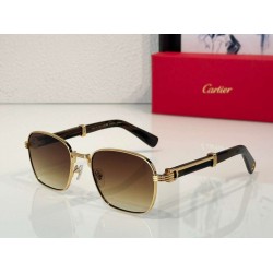 Cartier     sunglasses CAGb10