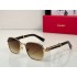 Cartier     sunglasses CAGb10