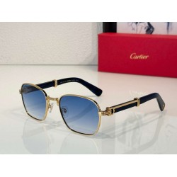 Cartier     sunglasses CAGb11