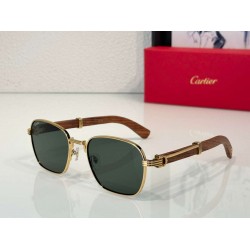 Cartier     sunglasses CAGb12