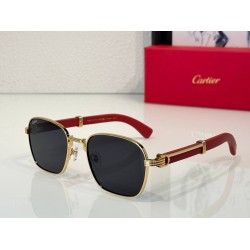 Cartier     sunglasses CAGb13