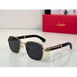 Cartier     sunglasses CAGb14