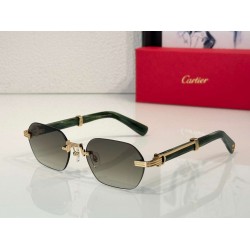 Cartier     sunglasses CAGb15