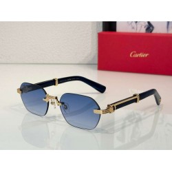 Cartier     sunglasses CAGb16