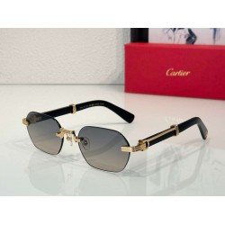 Cartier     sunglasses CAGb17