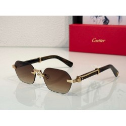 Cartier     sunglasses CAGb18