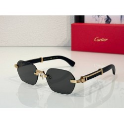 Cartier     sunglasses CAGb20