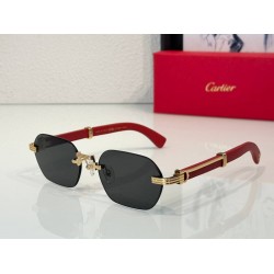 Cartier     sunglasses CAGb21