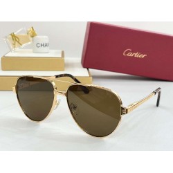 Cartier     sunglasses CAGb22