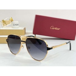 Cartier     sunglasses CAGb27