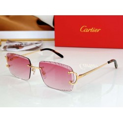 Cartier     sunglasses CAGb32