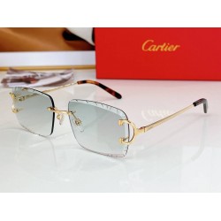 Cartier     sunglasses CAGb33
