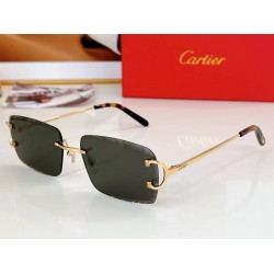 Cartier     sunglasses CAGb34