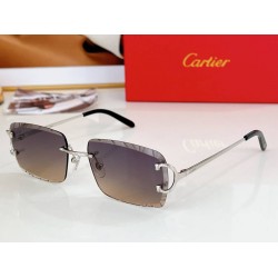 Cartier     sunglasses CAGb35