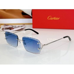 Cartier     sunglasses CAGb39
