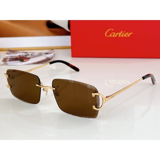Cartier     sunglasses CAGb40